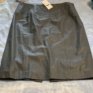 NWT Elegant Gray Women's Skirt